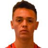 Navarro
