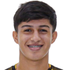 Mino Amarilla