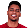 Matheus Araujo