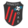 Somesul Oar *