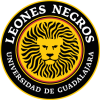 Leones Negros 2