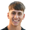 Intinacelli