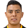Bustos