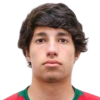Figueiredo
