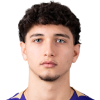 Haubenwaller