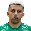Felipe Marques