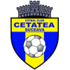 Cetatea Suceava