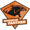 HSG Bergische Panther