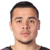 Ibrahimovic
