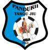 participant