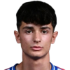 Pavesi