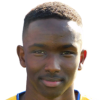 Elmi