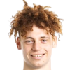Young-Coombes