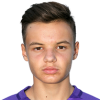 Dizdarevic
