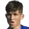 Salceanu