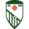 Padinska Skela
