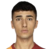 Dogan