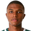 Vitor Andre