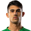 Kapitanovic