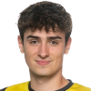 Vicandi