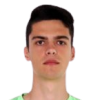Bjelica