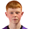 Magnusson
