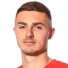 Nikolic