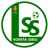 Vointa Sibiu II