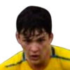 Maestrelli