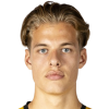 van der Wilt