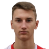 Jelenkovic