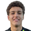 Romagnoli