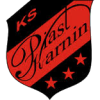 Piast Karnin