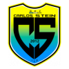 Carlos Stein