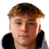 Vik