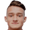 Zajsek