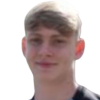 Davies
