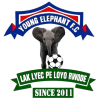 Young Elephant