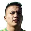 Gallego