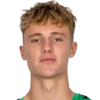 Elnegaard