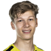Heiskanen