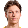 Heiskanen