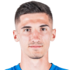 Ibisevic