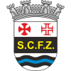 participant