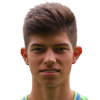 Sarcevic