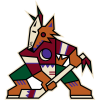 Arizona Coyotes