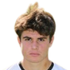 Gessaroli