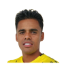 Ceballos Cardona