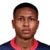 Alvarez