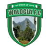 Wologizi